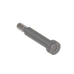 Screw