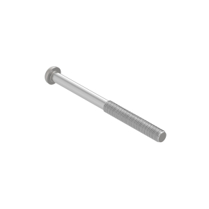 Screw