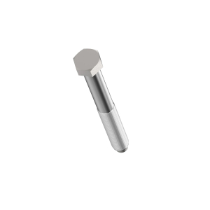 Cap Screw