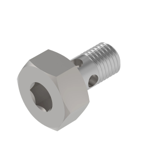 Hollow Screw