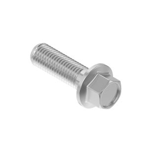 Screw