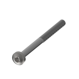 Cap Screw