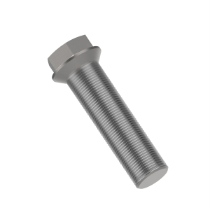Screw