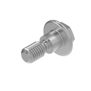 Screw
