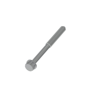 Screw