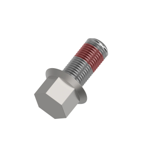Screw
