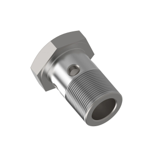 Hollow Screw