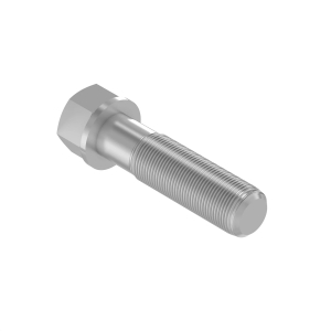 Screw