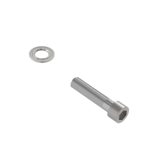 Screw With Washer