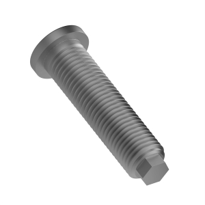 Screw