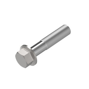 Cap Screw