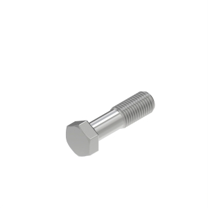 Screw