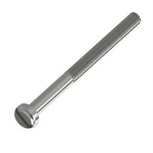 Screw