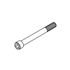 Screw