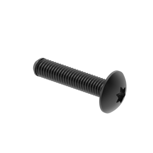 Screw