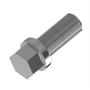 Screw