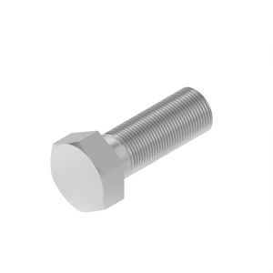 Screw