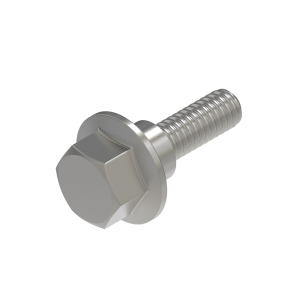 Screw