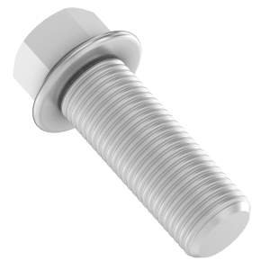 Cap Screw