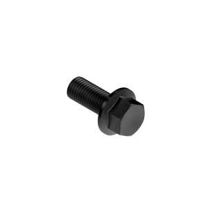 Image of KK53970