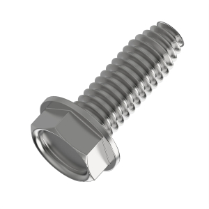 Screw