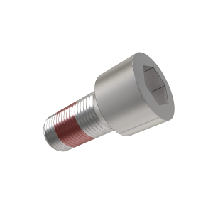 Cap Screw