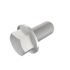 Screw