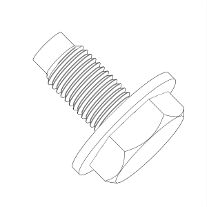Screw With Washer