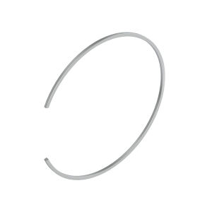 Snap Ring