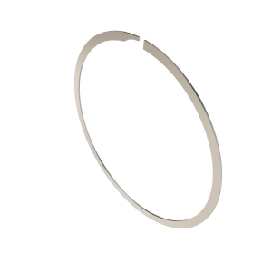 Snap Ring