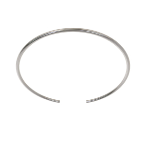 Snap Ring
