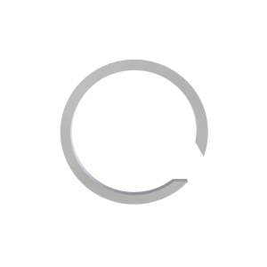 Snap Ring