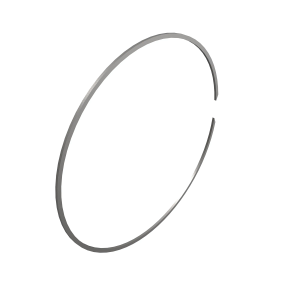 Snap Ring