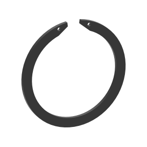 Snap Ring
