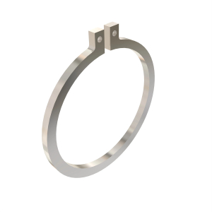 Snap Ring