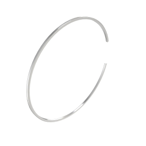 Snap Ring