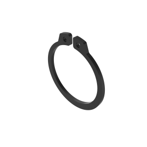 Image of R113981