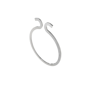 Snap Ring