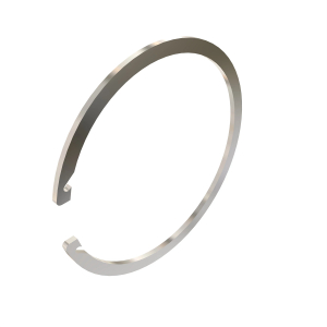 Snap Ring