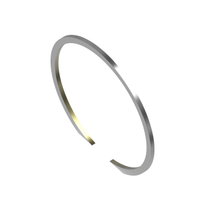 Snap Ring