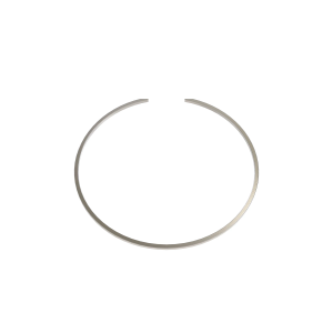 Snap Ring