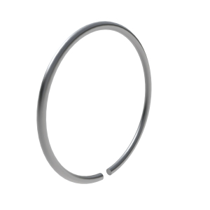 Snap Ring