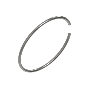 Snap Ring