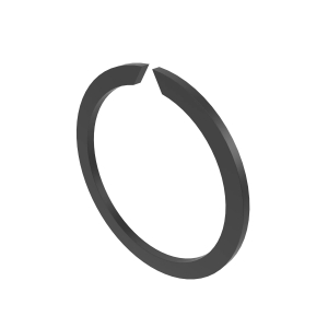 Snap Ring