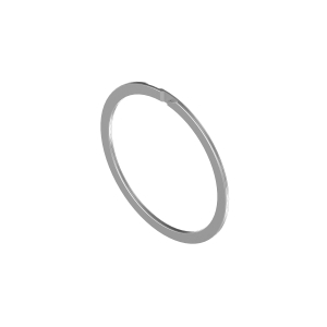 Snap Ring
