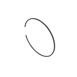 Snap Ring