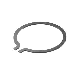 Snap Ring