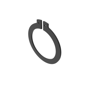 Snap Ring