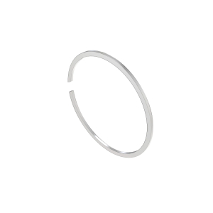 Snap Ring