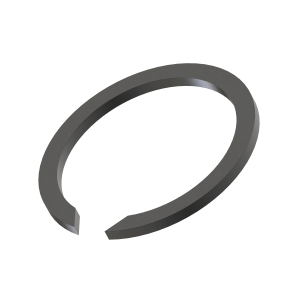 Snap Ring